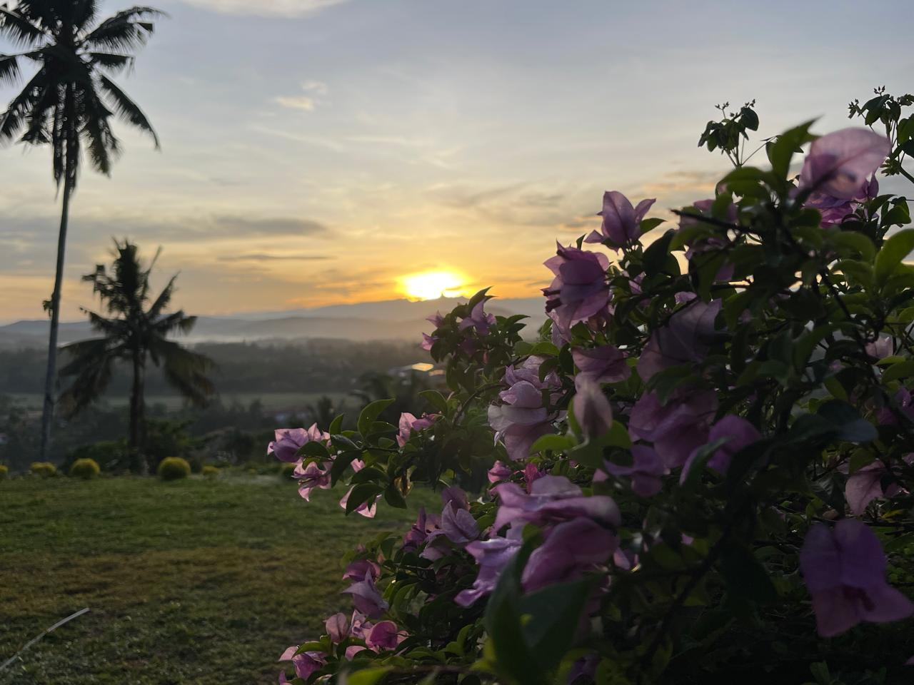 Where flowers bloom and the sun kisses the hills peace lives here.
