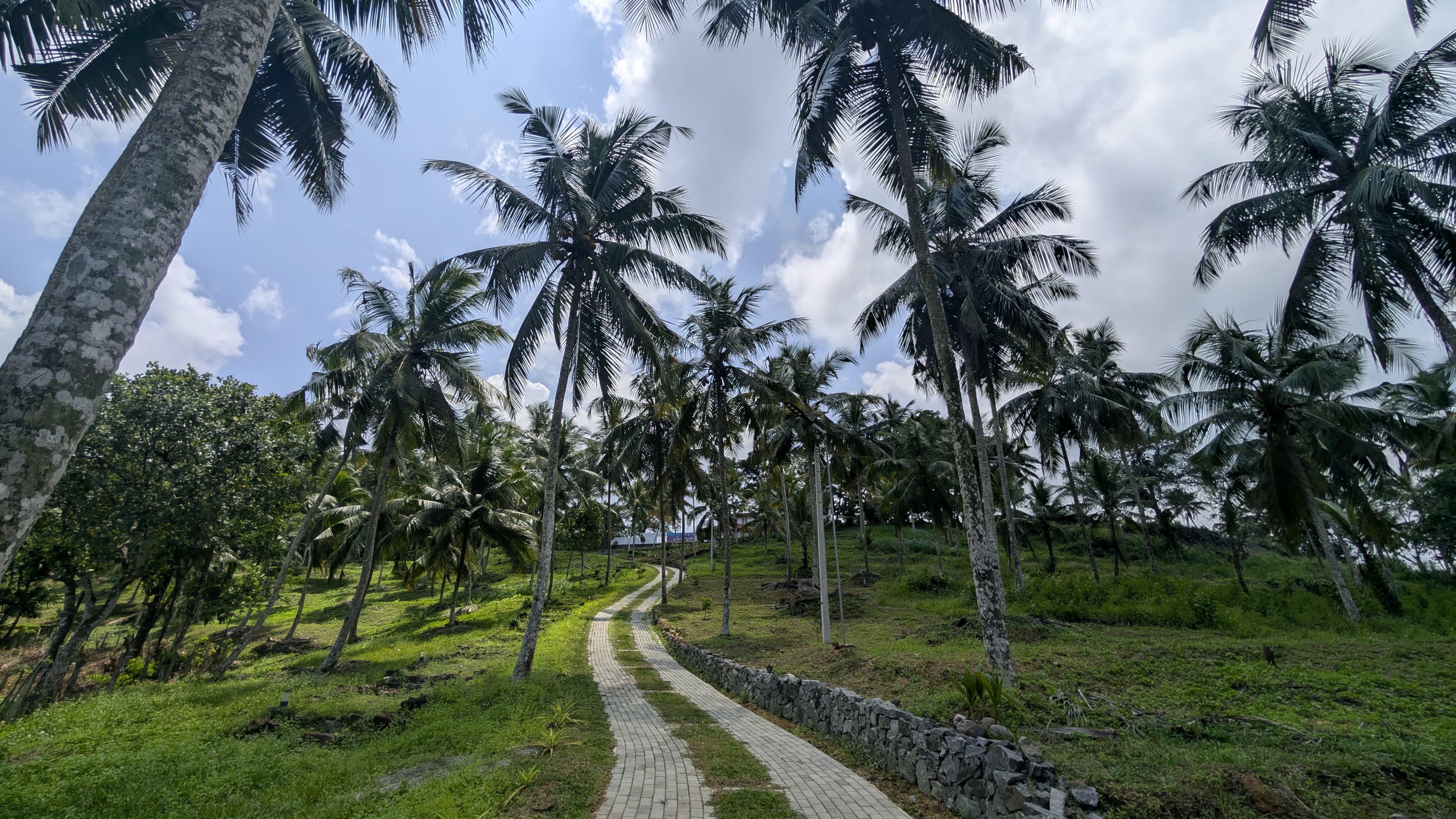 Nestled among swaying coconut palms and lush greenery, Lavinrich offers a peaceful tropical escape.