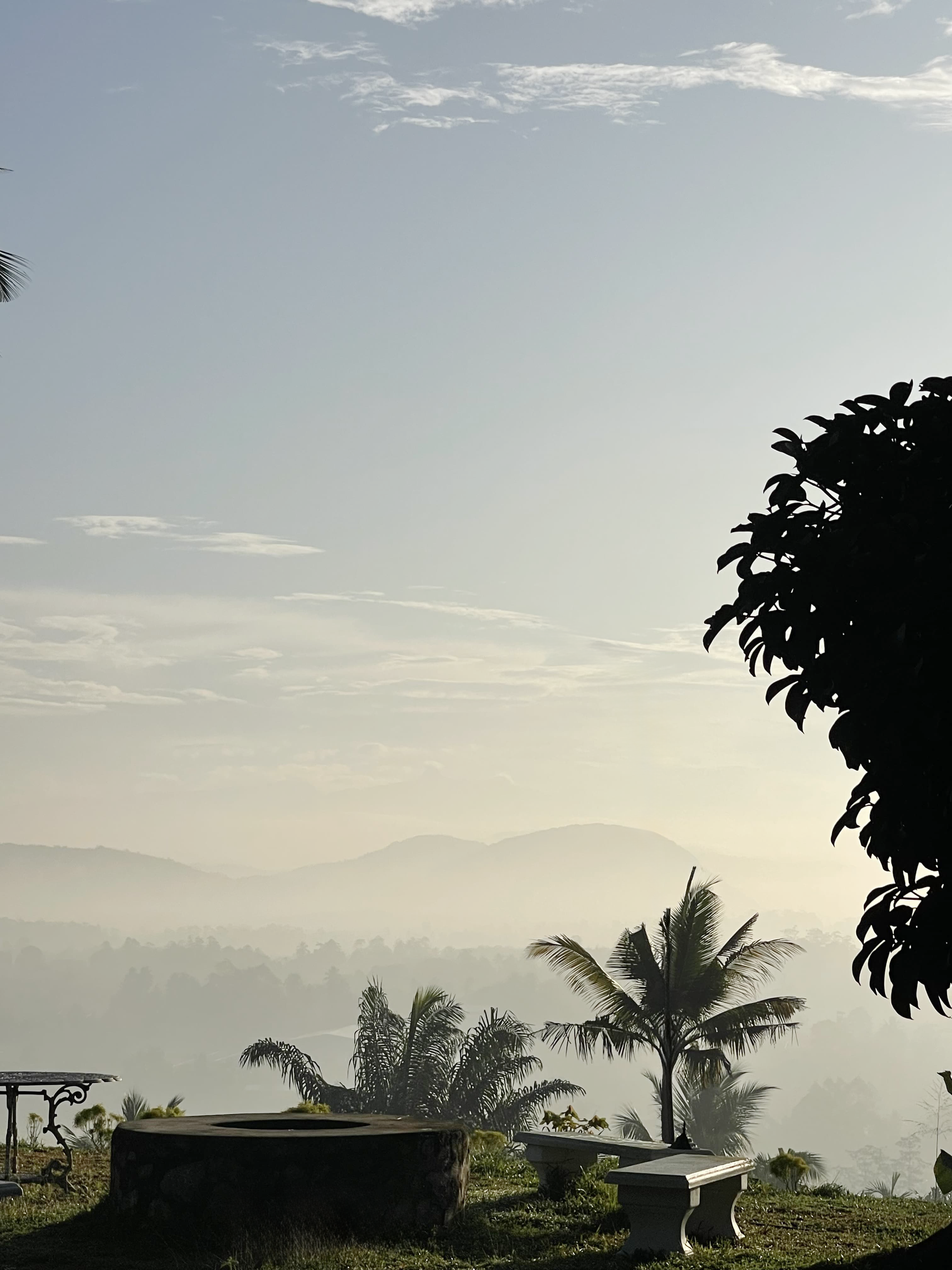 Wake up above the clouds — at Lavinrich, misty mornings and mountain views create the perfect start to a peaceful day.